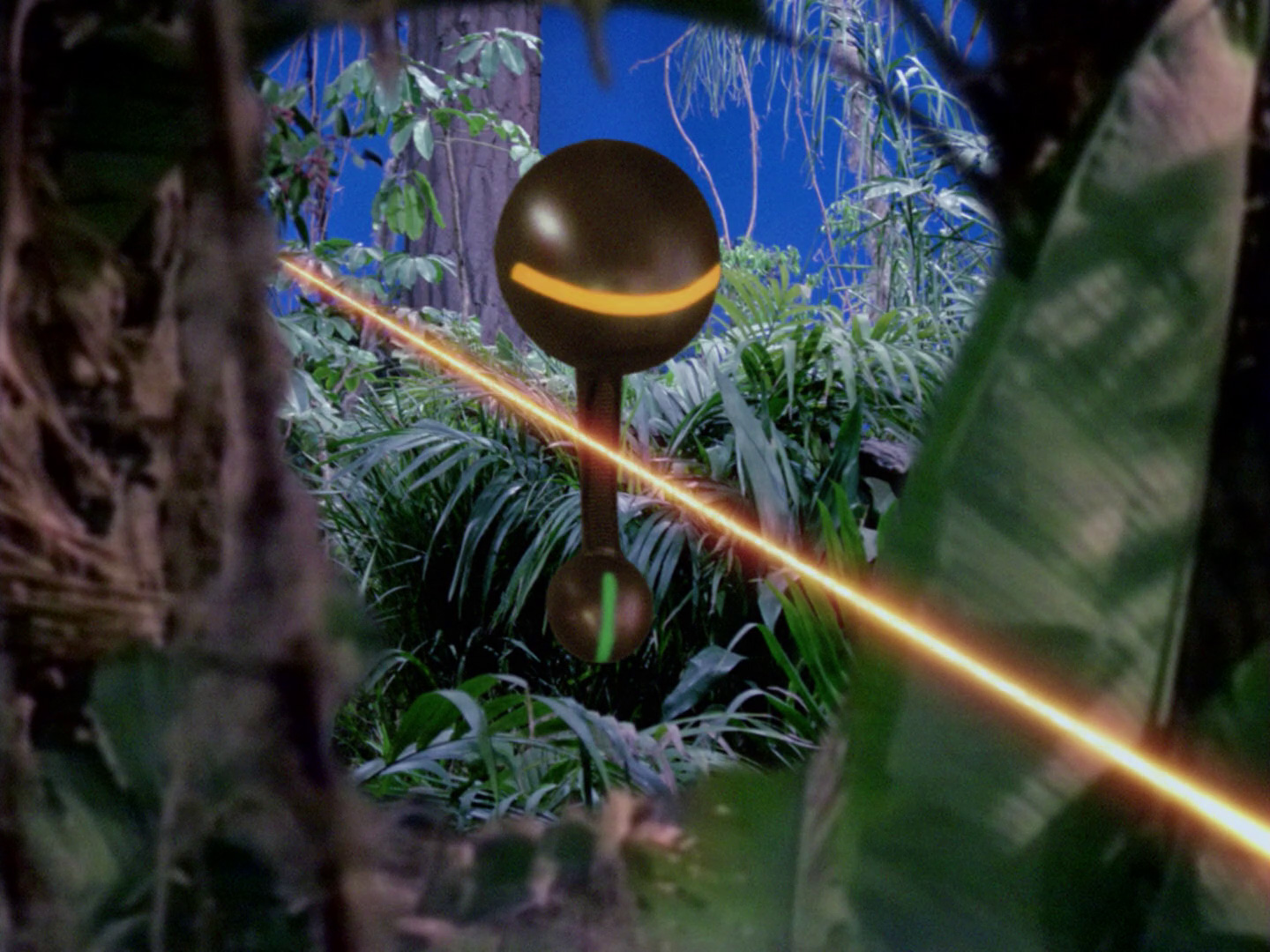 See the source image